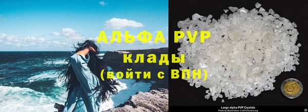 apvp Алексин