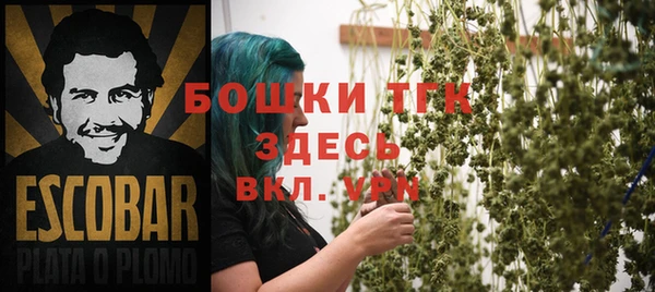 apvp Алексин