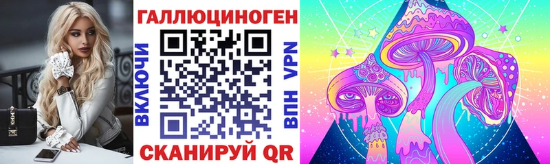 Галлюциногенные грибы Psilocybine cubensis  даркнет сайт  Махачкала 