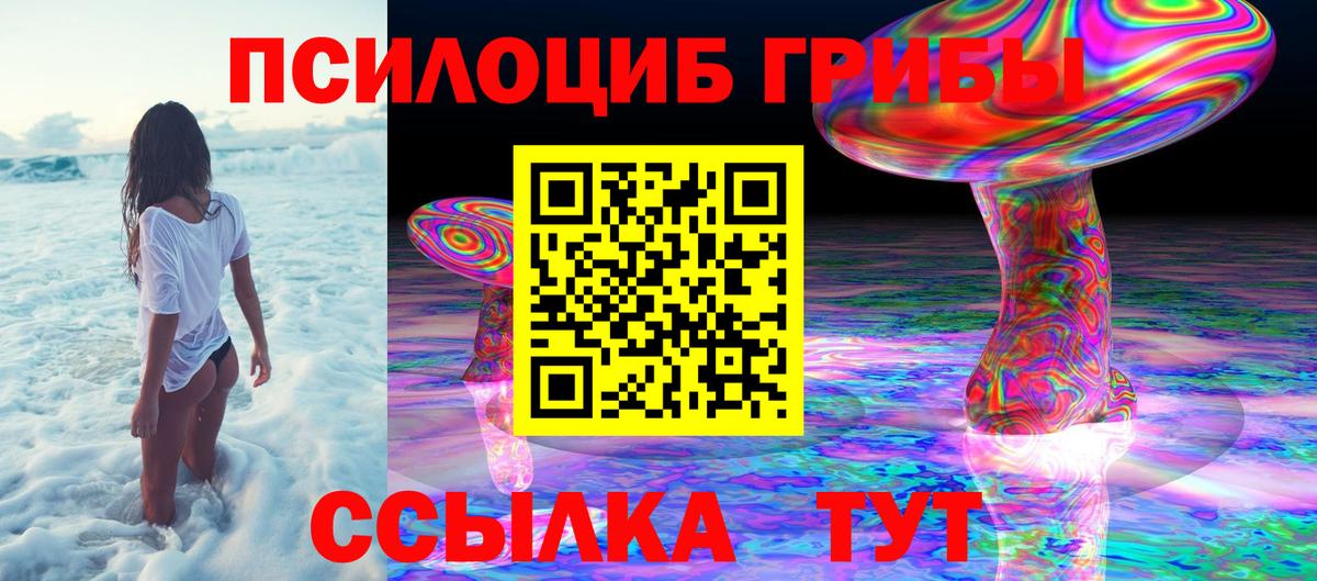 Псилоцибиновые грибы мицелий  Вход с VPN  Псилоцибиновые грибы Psilocybine cubensis  Махачкала 